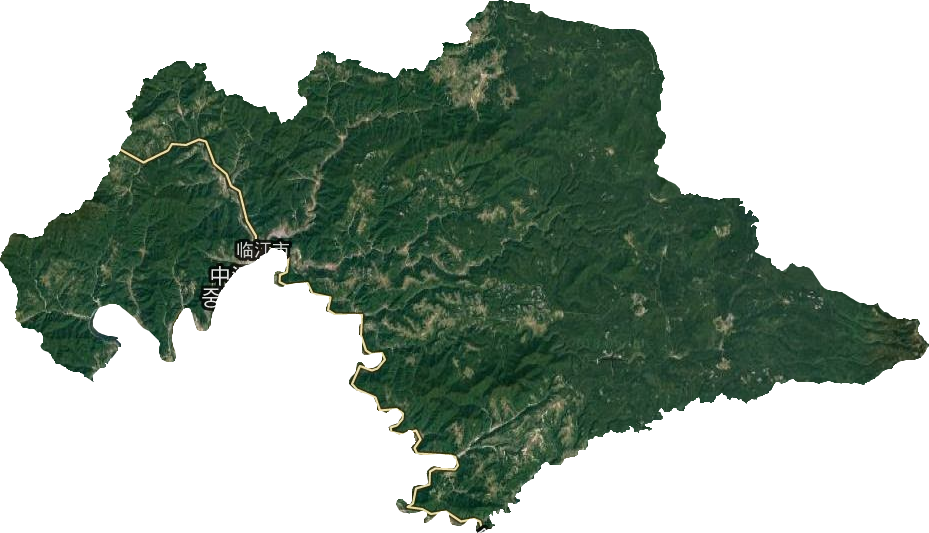 臨江市衛(wèi)星圖