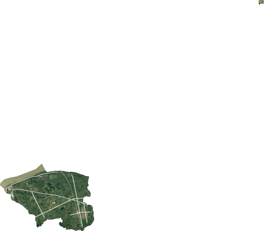 高安街道衛(wèi)星圖