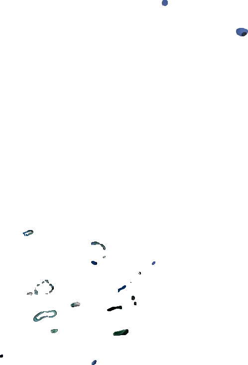西沙群島衛星圖