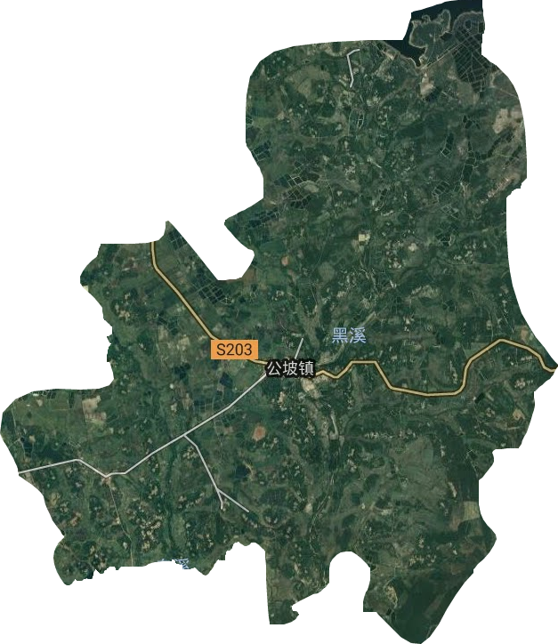 公坡鎮(zhèn)衛(wèi)星圖