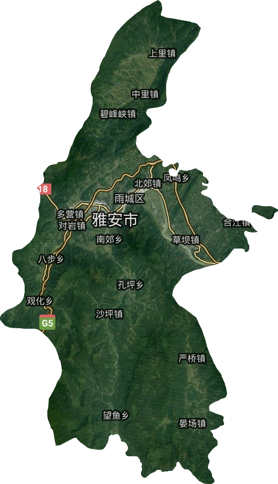 雨城區衛星圖
