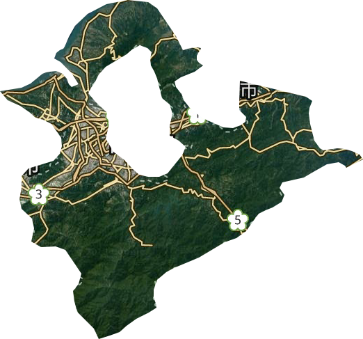 新北市衛星圖