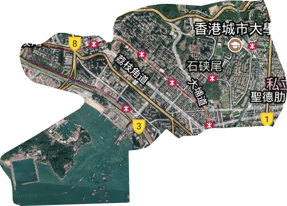 深水埗區衛星圖