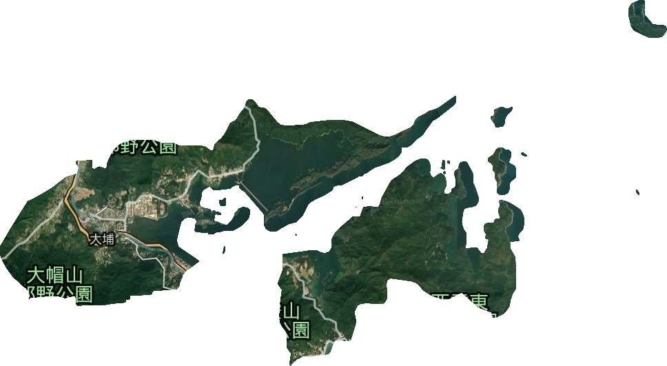 大埔區衛星圖