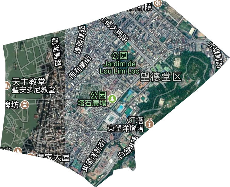 花王堂區衛星圖
