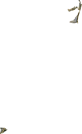 爐院街街道衛星圖