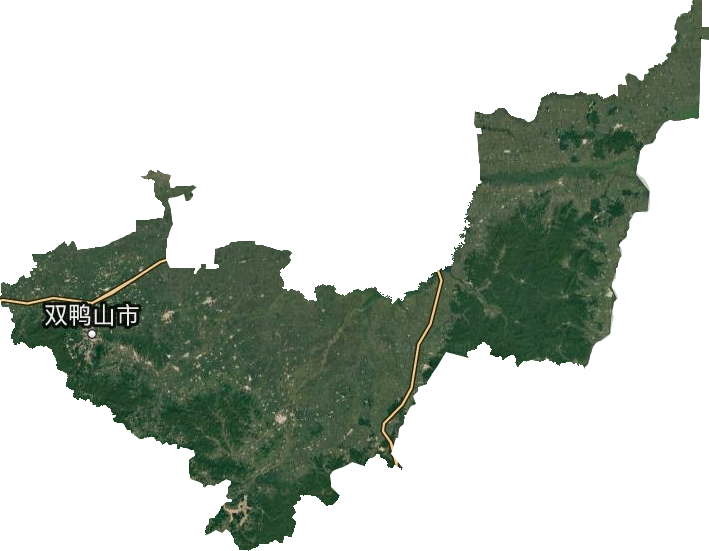 雙鴨山市衛(wèi)星圖