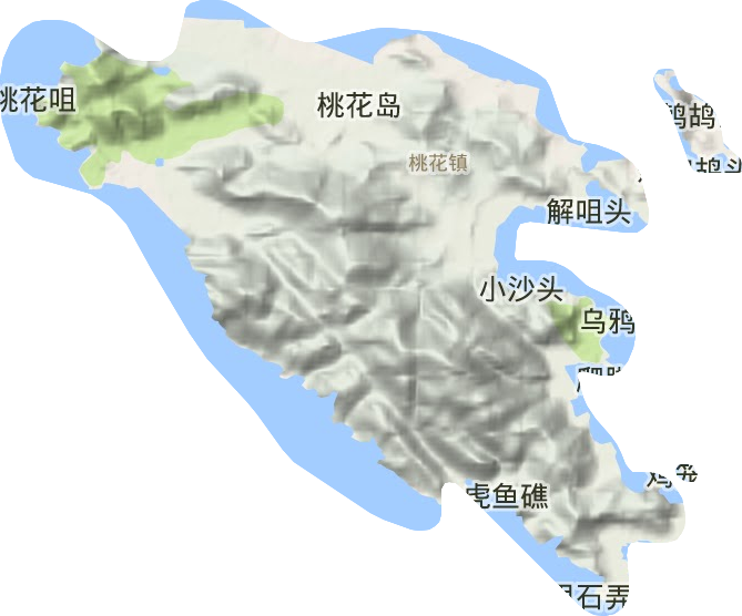 桃花鎮地形圖