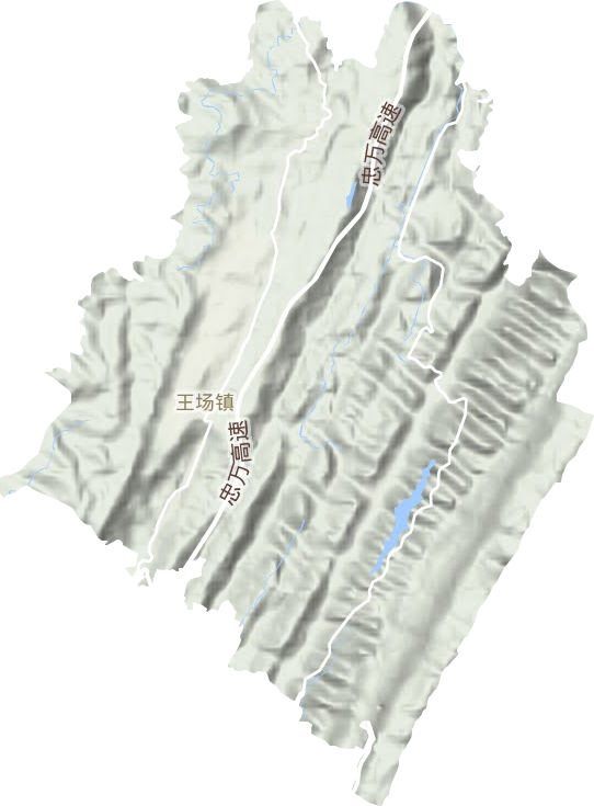 王場鎮(zhèn)地形圖