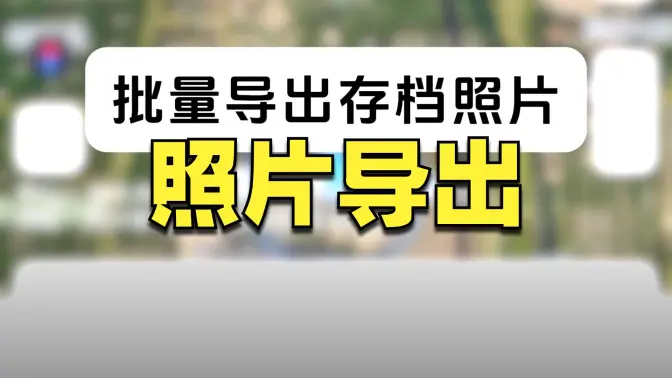 批量導(dǎo)出（文件存檔(excel格式)和照片分組存檔）