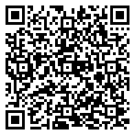 《bmmap文件格式》文章鏈接二維碼