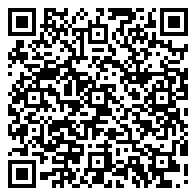 《bmmap文件格式》文章鏈接二維碼